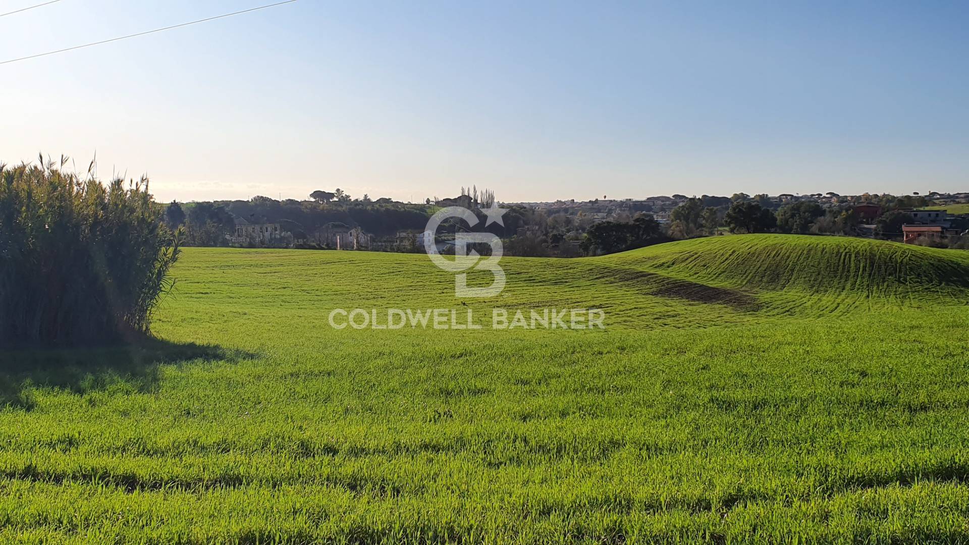 Terreno agricolo in vendita a Ardea, Castagnetta