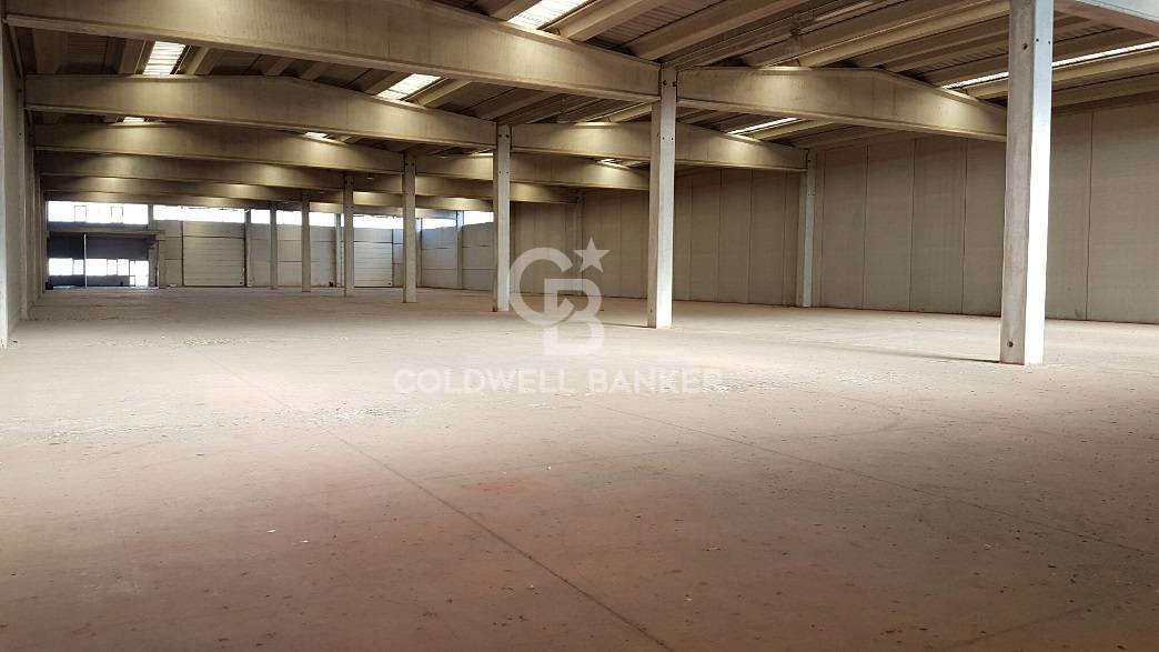 Capannone industriale in affitto a Pomezia, Centro