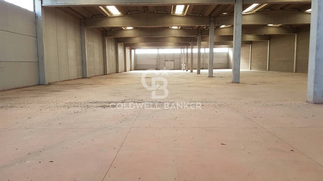 Capannone industriale in affitto a Pomezia, Centro