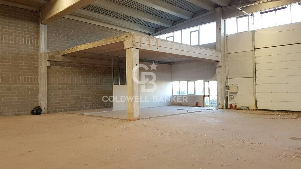 Capannone industriale in affitto a Pomezia, Centro