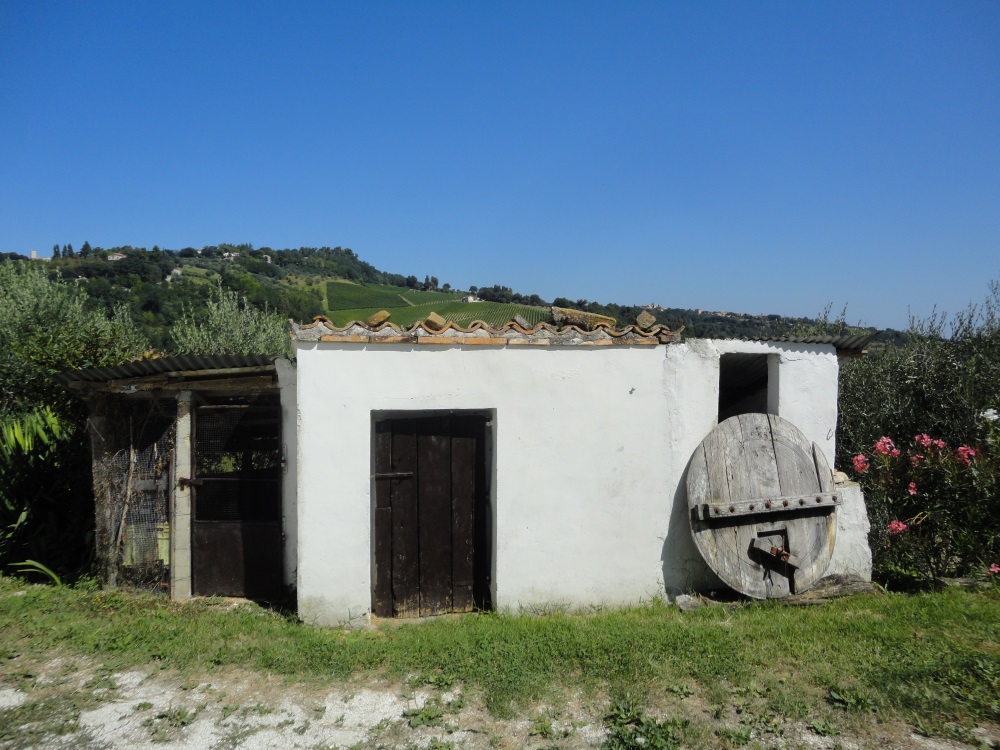 Casa in pietra con terreno in vendita a Cupramontana