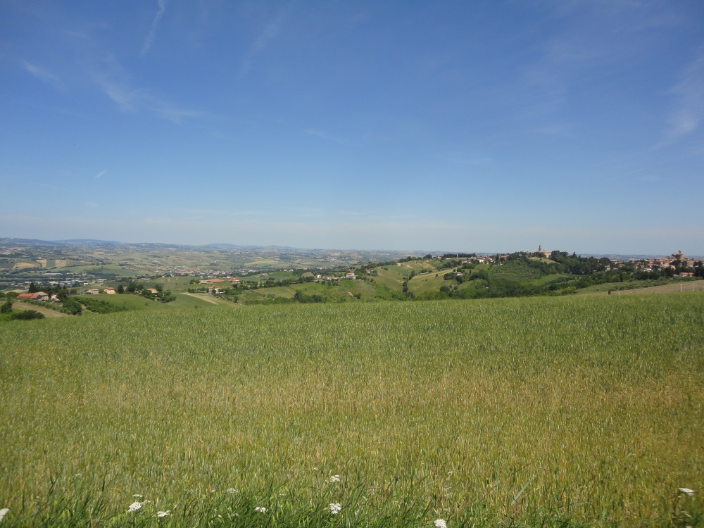 immagine annuncio 2 di 6