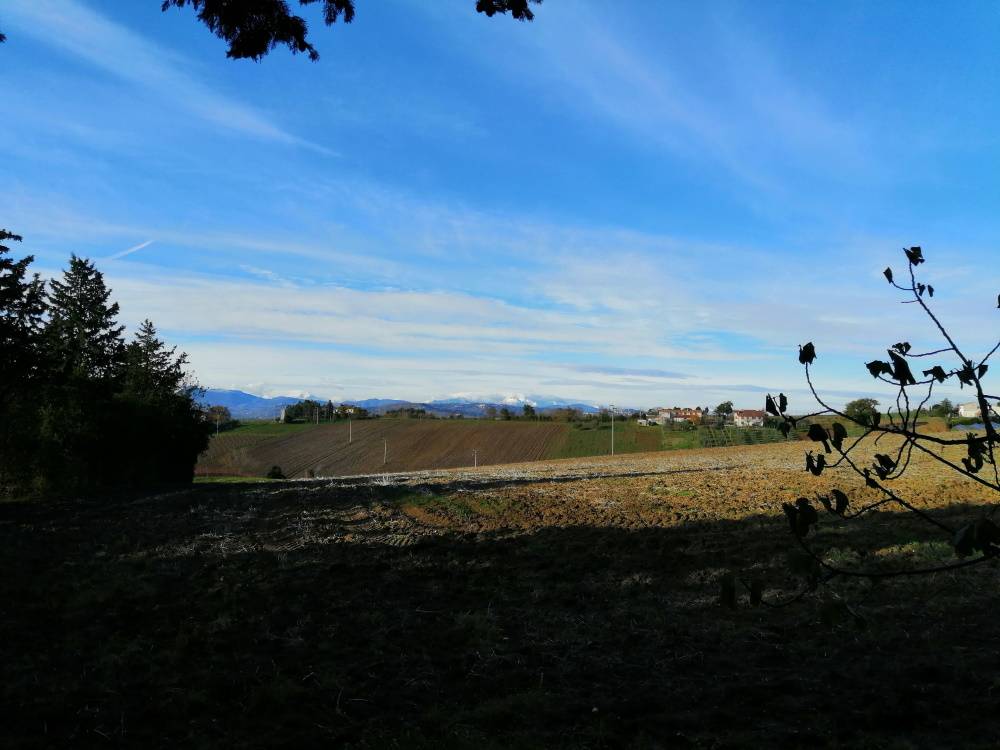 immagine annuncio 4 di 6
