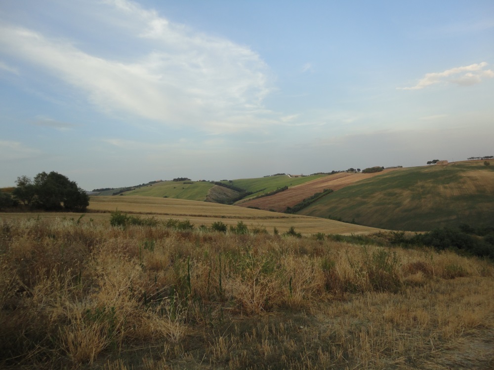 immagine annuncio 4 di 6