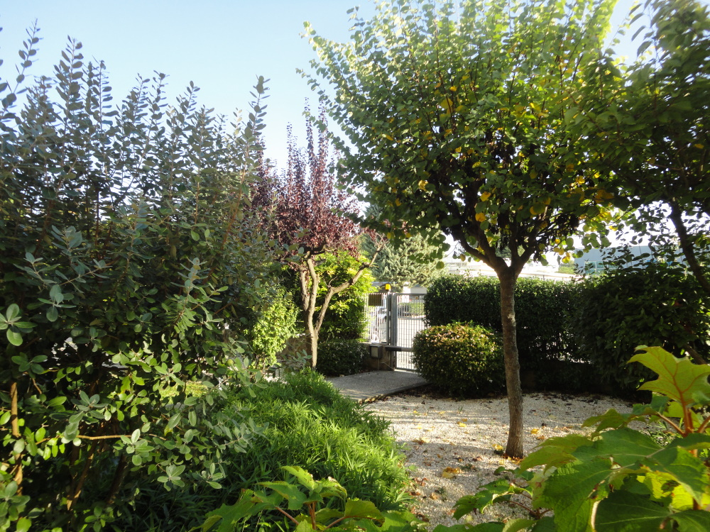 immagine annuncio 2 di 6