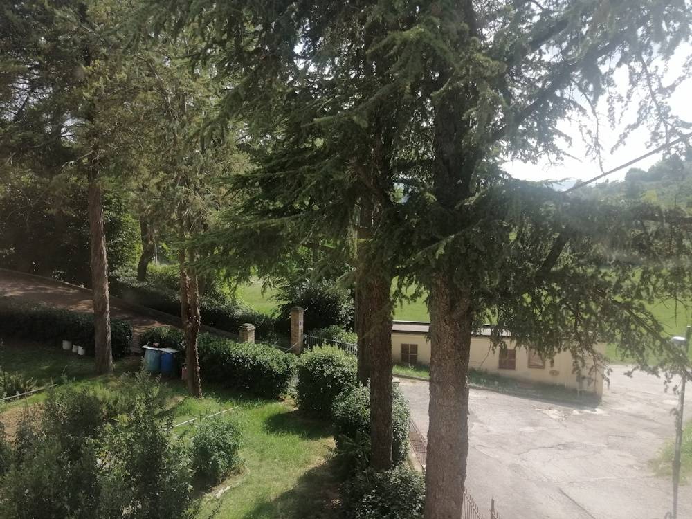 Appartamento / casa in citta\' della provincia in vendita a Montecarotto