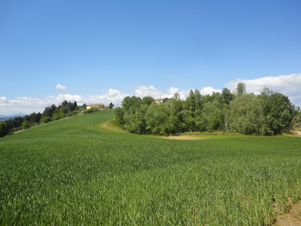 Terreno Agricolo in vendita a Poggio San Marcello