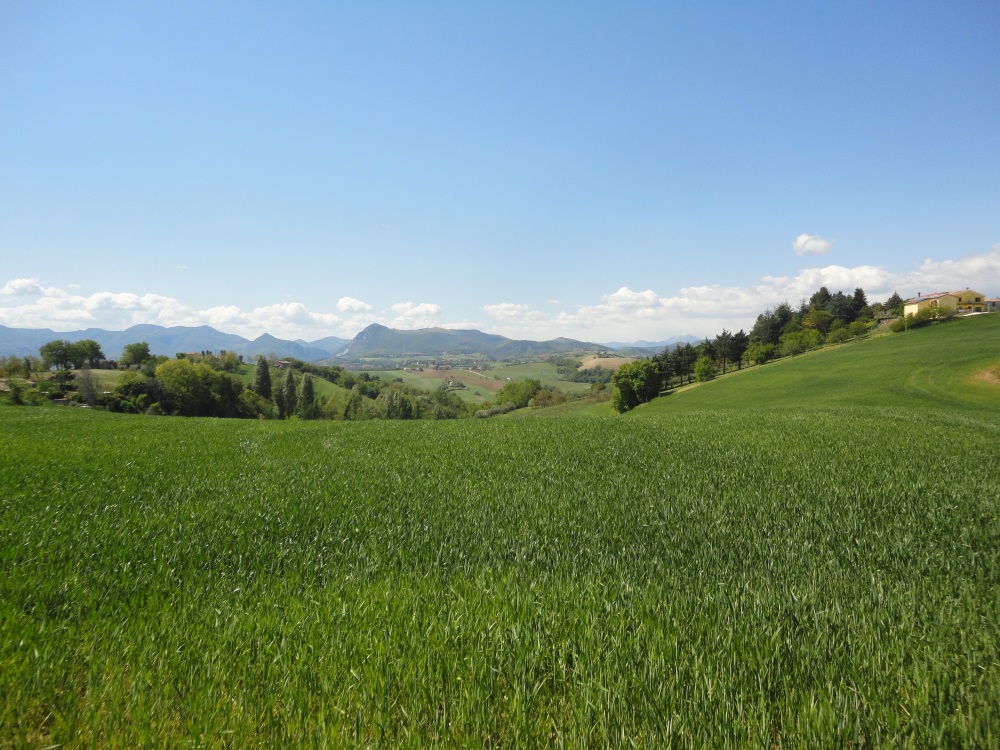 Terreno Agricolo in vendita a Poggio San Marcello