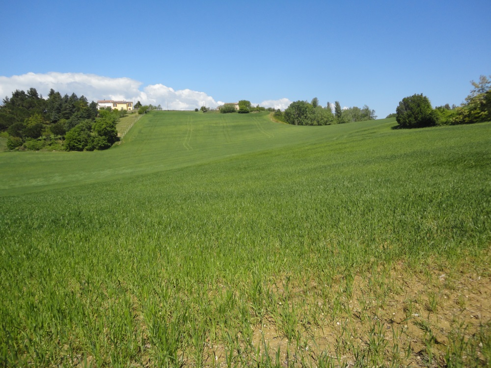 Terreno Agricolo in vendita a Poggio San Marcello
