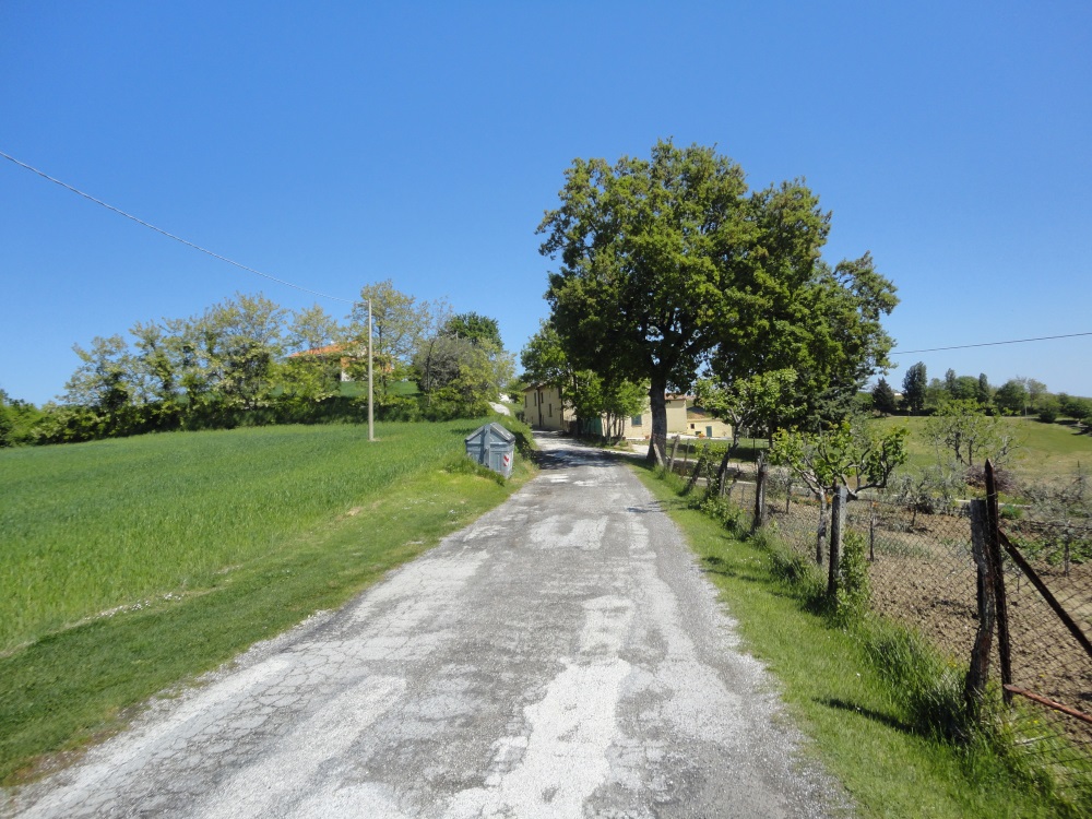 Terreno Agricolo in vendita a Poggio San Marcello