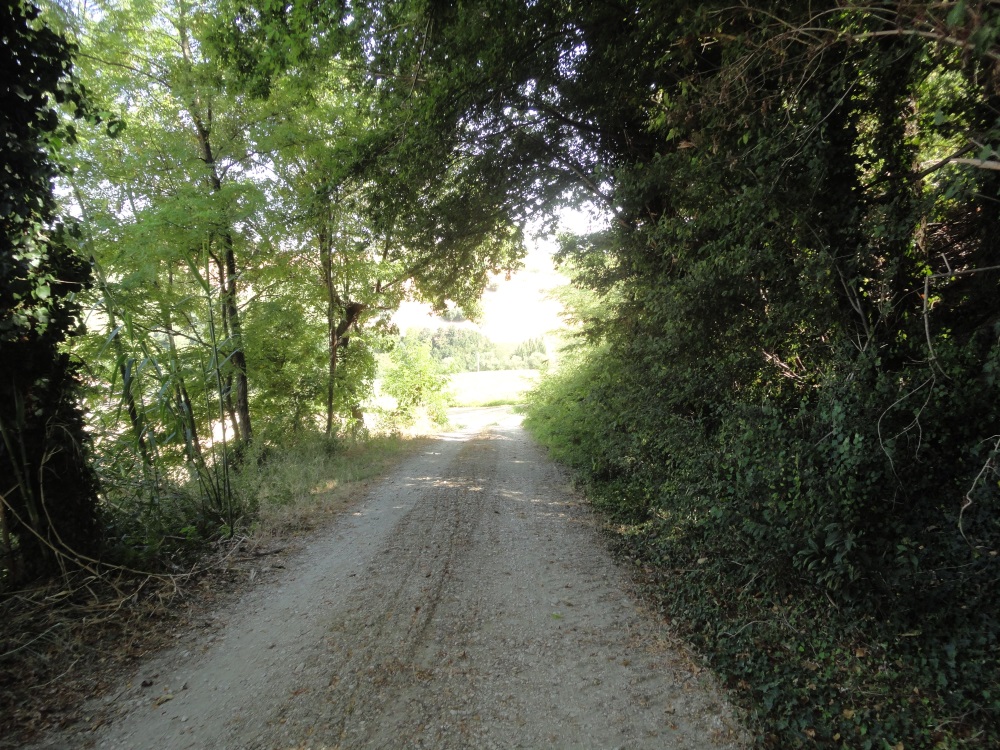 Terreno Agricolo in vendita a Jesi