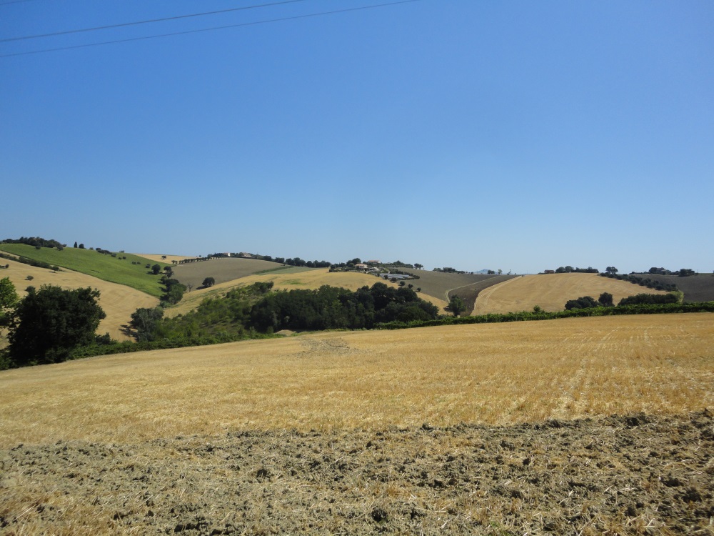 Terreno Agricolo in vendita a Jesi