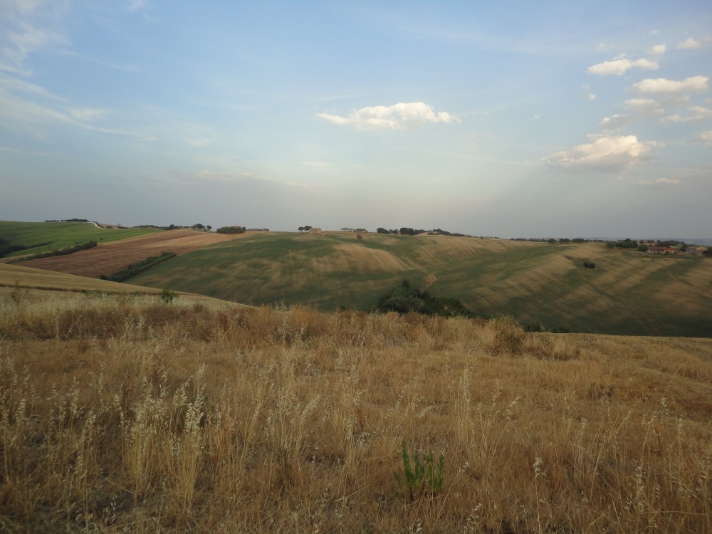 Terreno Agricolo in vendita a Poggio San Marcello, Coste