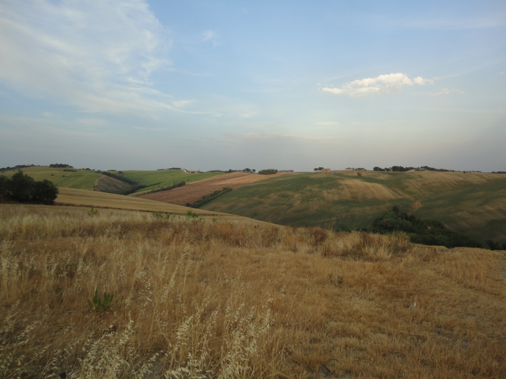 Terreno Agricolo in vendita a Poggio San Marcello, Coste