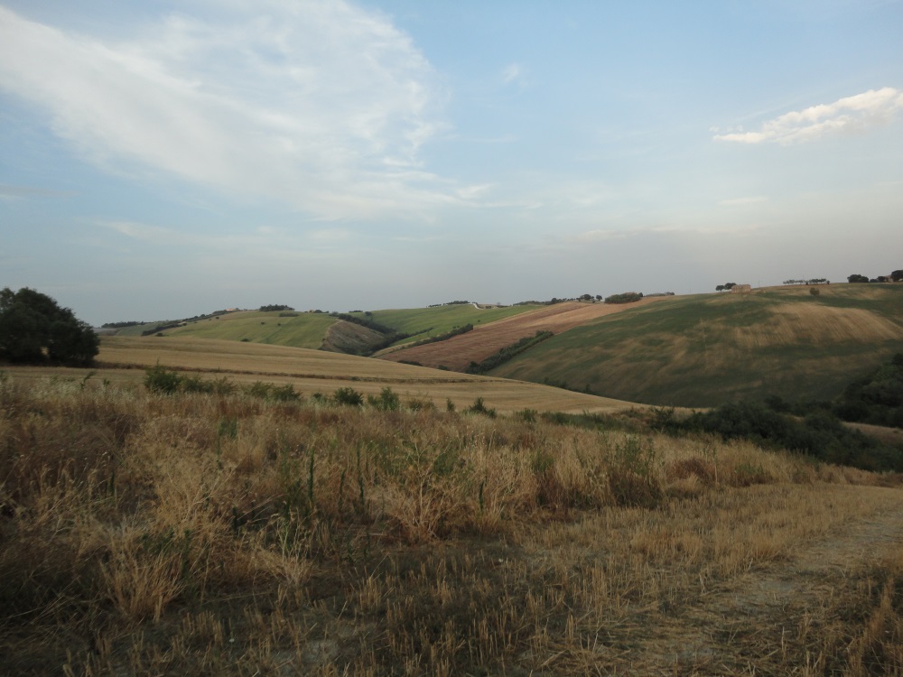 Terreno Agricolo in vendita a Poggio San Marcello, Coste