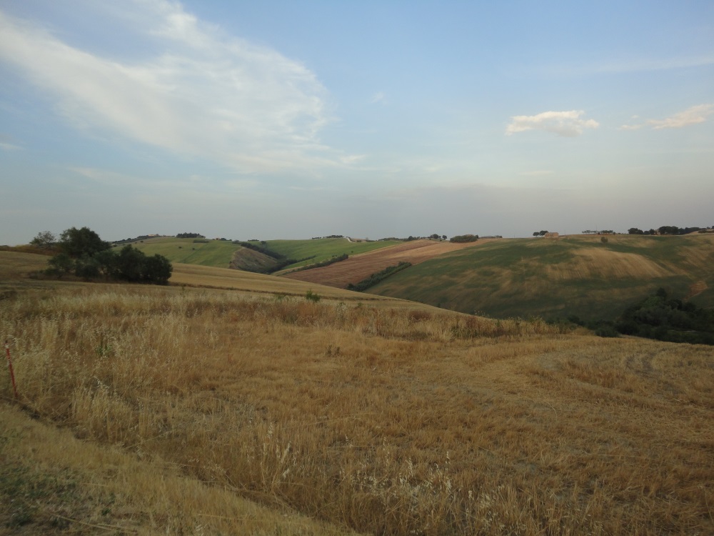 Terreno Agricolo in vendita a Poggio San Marcello, Coste