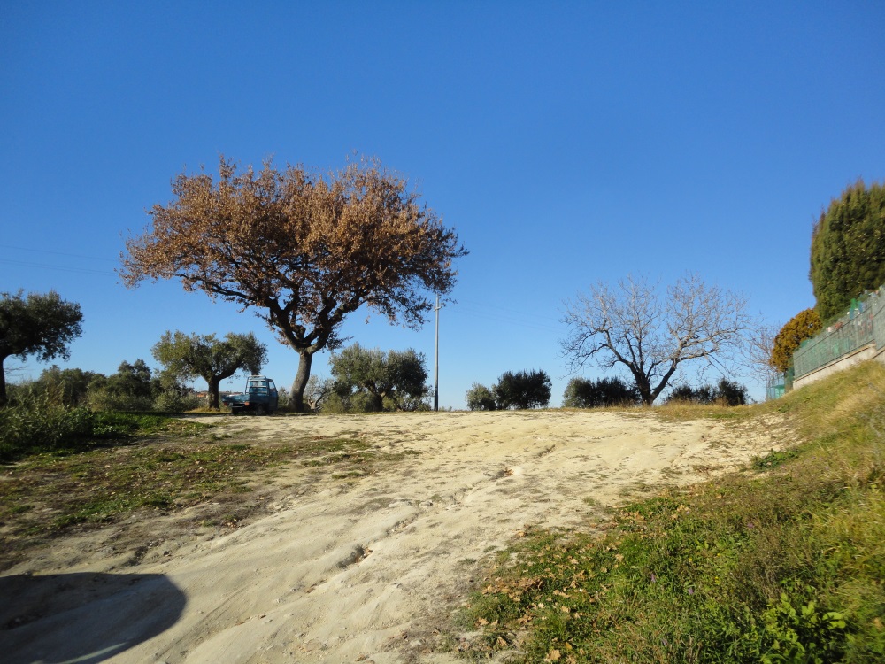 Terreno edificabile in vendita a Cingoli