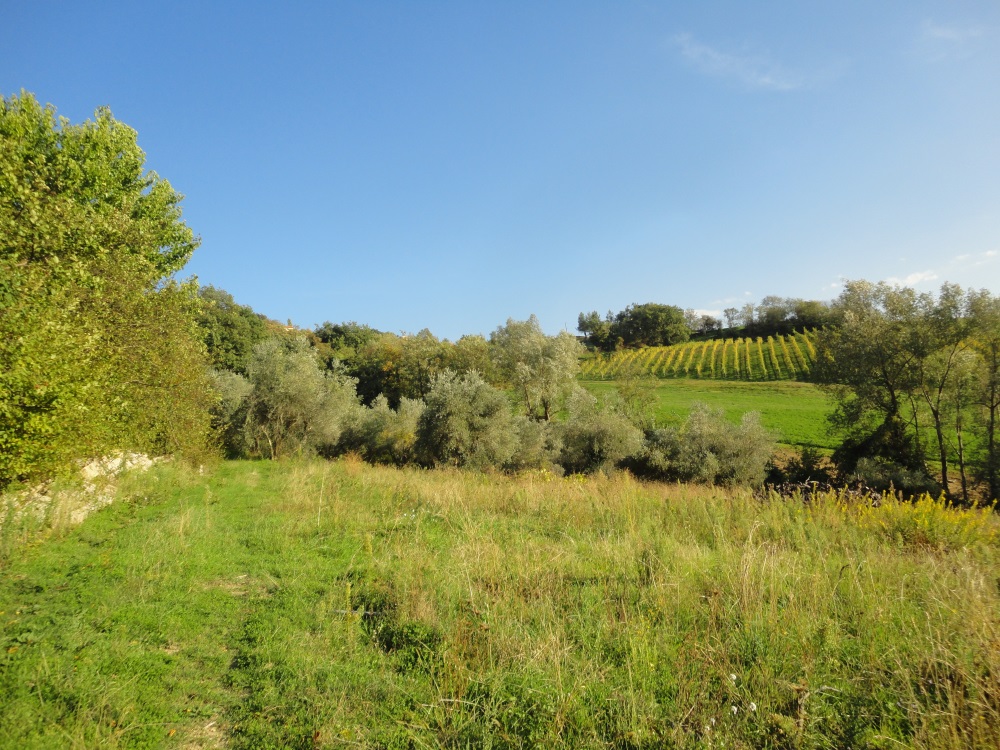 Terreno edificabile in vendita a Serra de' Conti