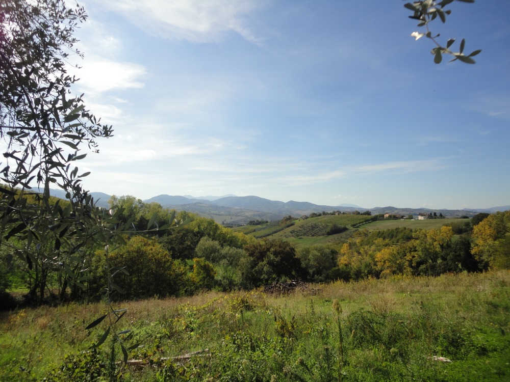 Terreno edificabile in vendita a Serra de' Conti
