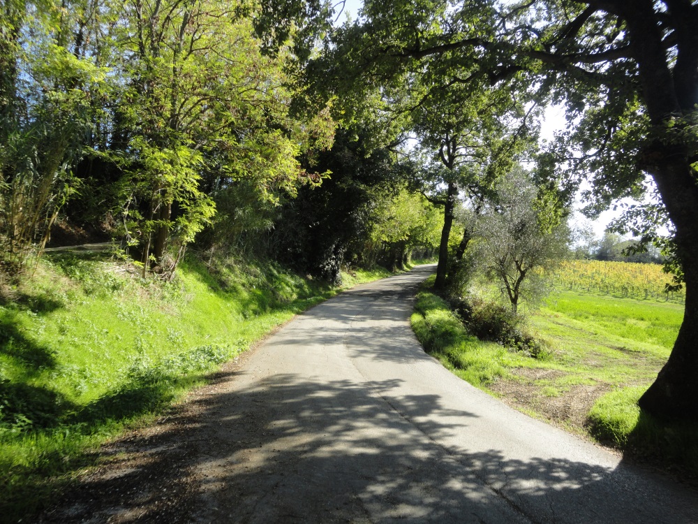 Terreno edificabile in vendita a Serra de' Conti