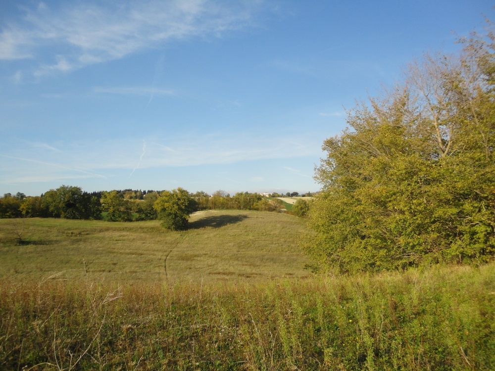 Casa in pietra con terreno in vendita a Apiro