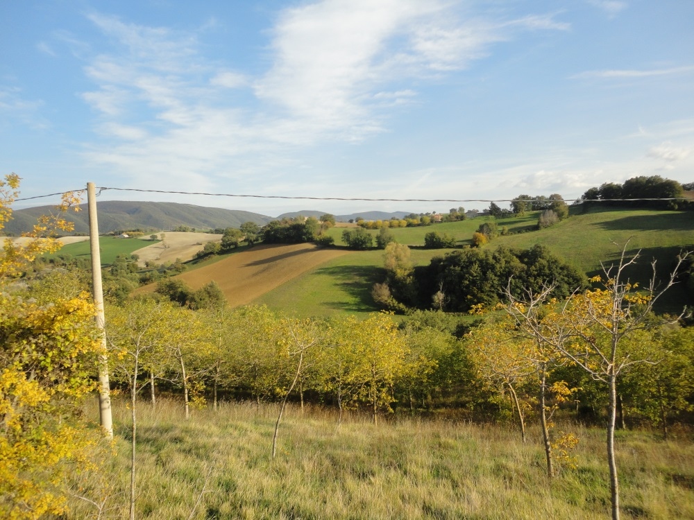 Casa in pietra con terreno in vendita a Apiro