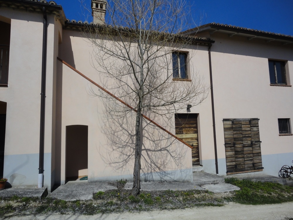 Casa in pietra con terreno in vendita a Apiro