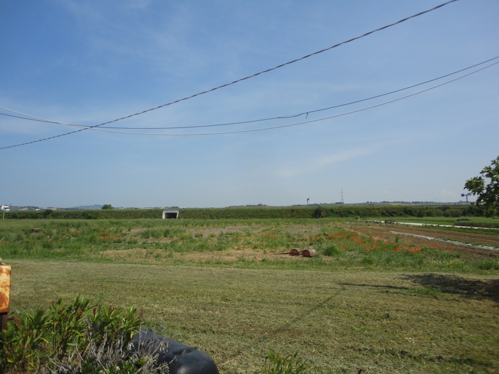 Terreno Agricolo in vendita a Jesi