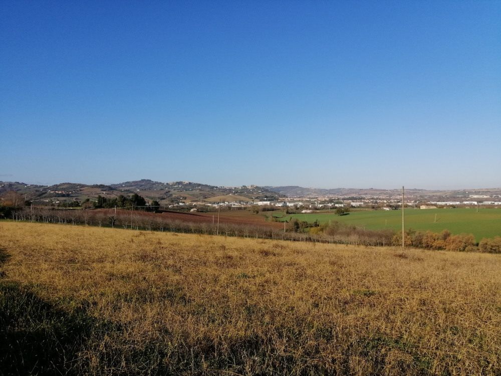 Terreno Agricolo in vendita a San Paolo di Jesi