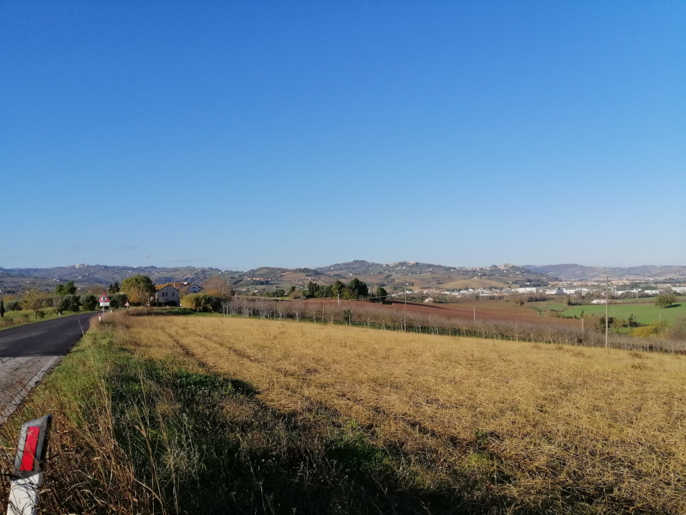 Terreno Agricolo in vendita a San Paolo di Jesi