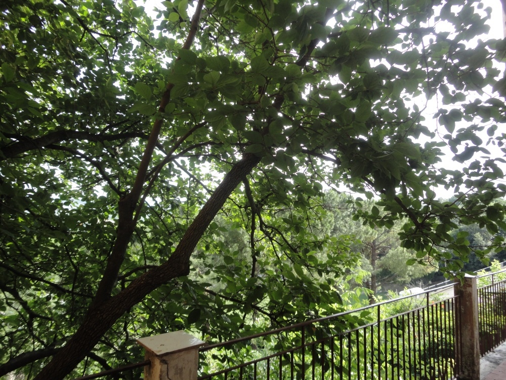 Casa nei borghi e castelli in vendita a Monte Roberto