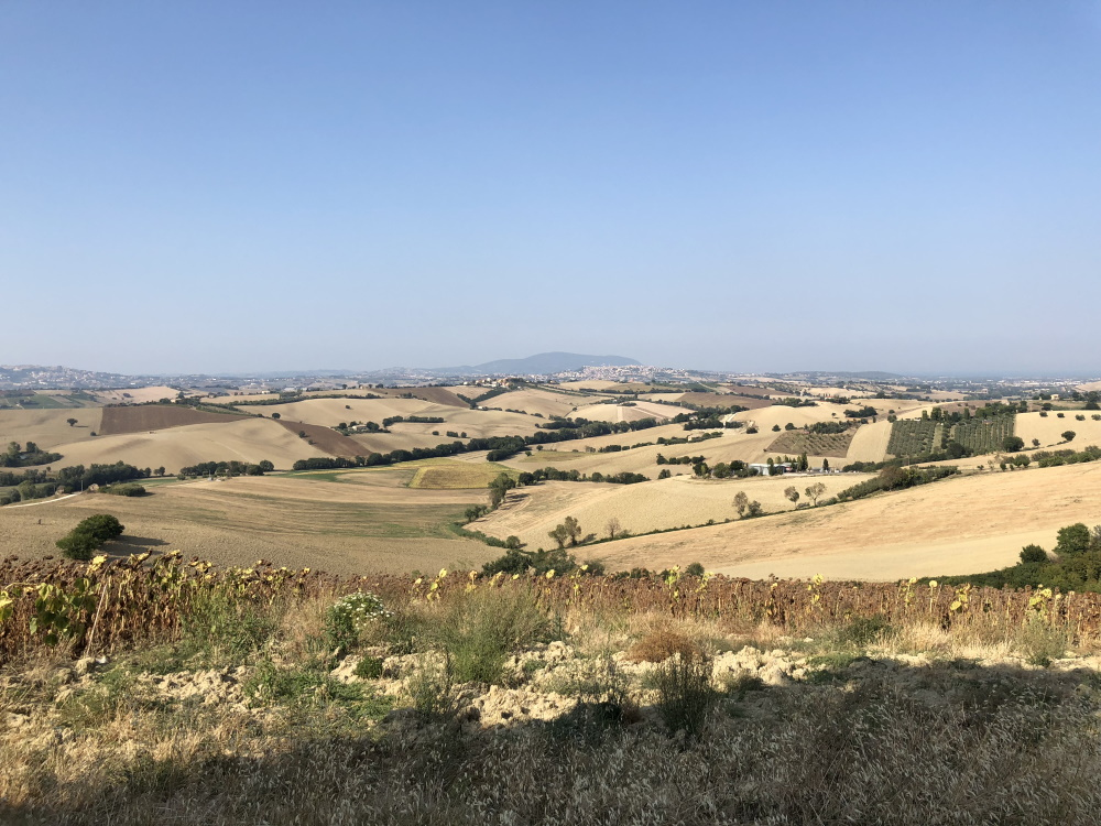 Casa da ristrutturare (in campagna) in vendita a Recanati
