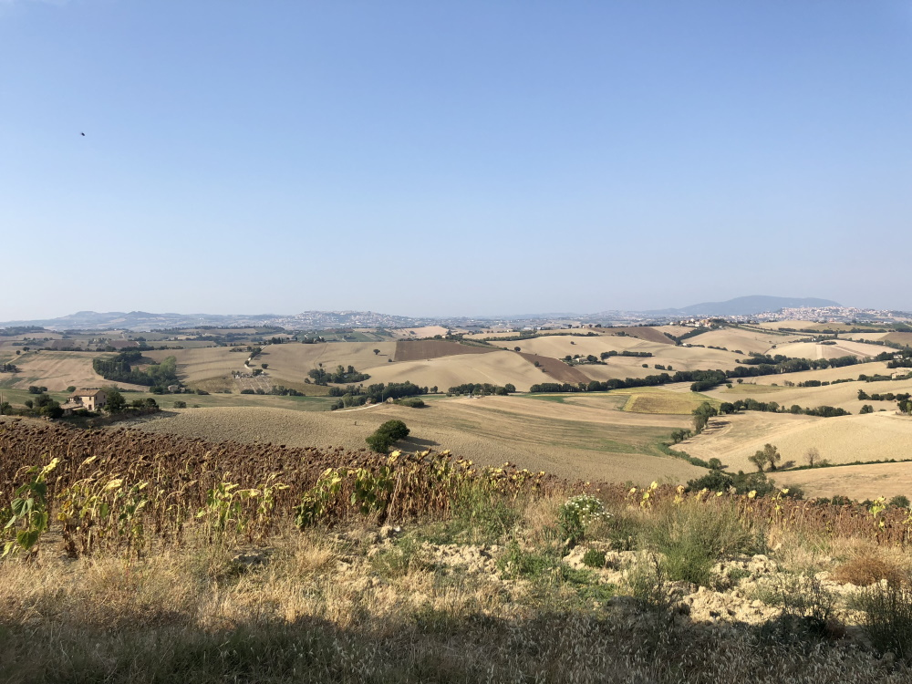 Casa da ristrutturare (in campagna) in vendita a Recanati