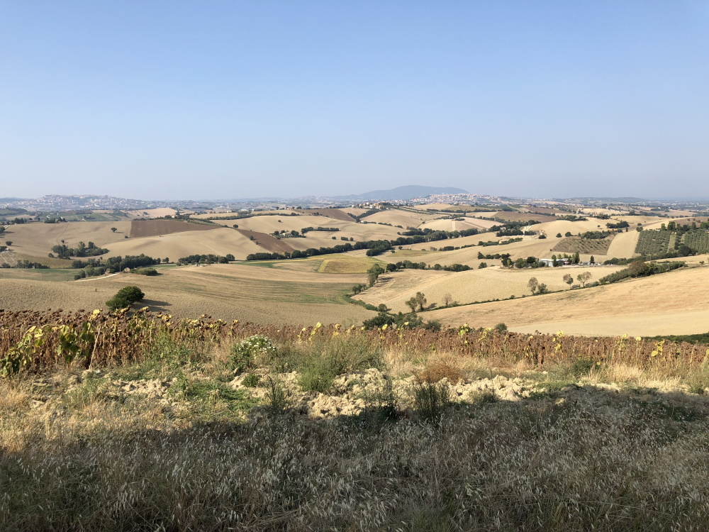 Casa da ristrutturare (in campagna) in vendita a Recanati