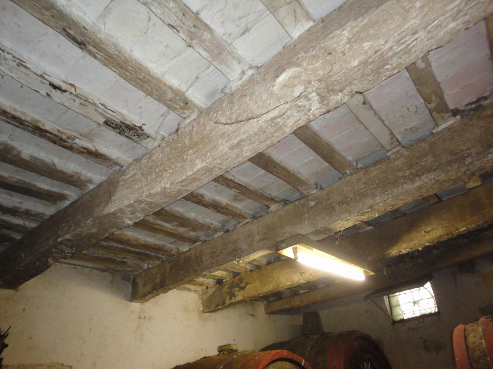 Casa in pietra con terreno in vendita a Monte Roberto