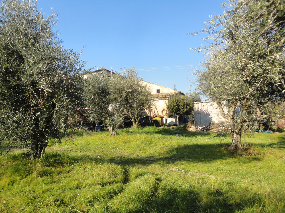 Casa in pietra con terreno in vendita a Monte Roberto