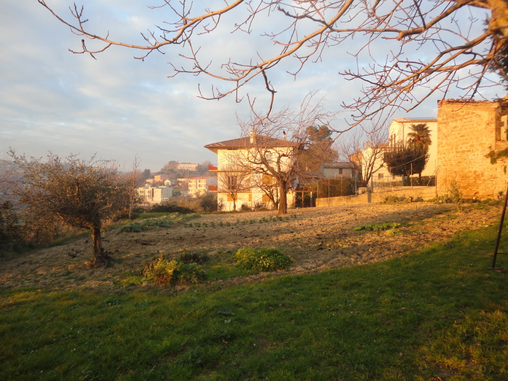 Casa nei borghi e castelli in vendita a Castelplanio