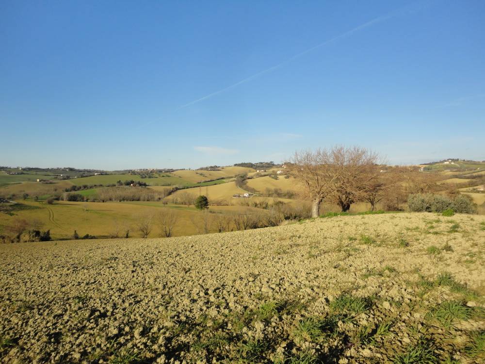 Casa da ristrutturare (in campagna) in vendita a Jesi