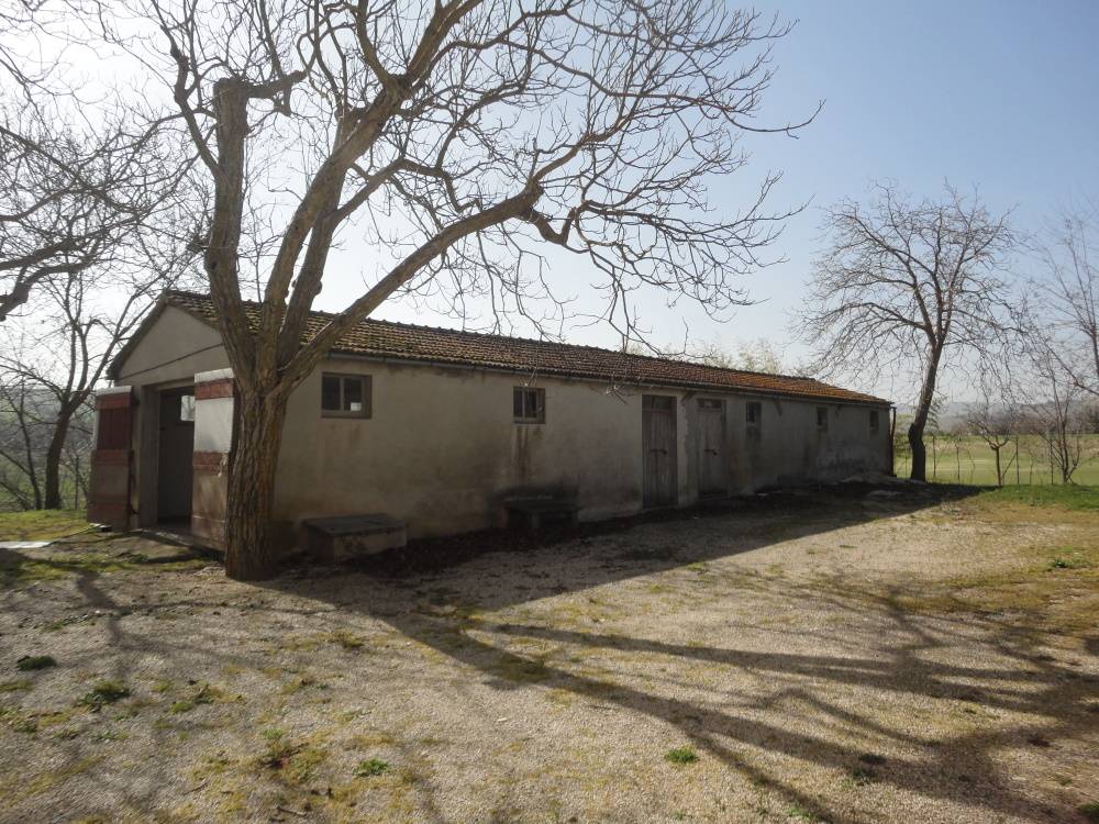 Casa in pietra con terreno in vendita a Cingoli