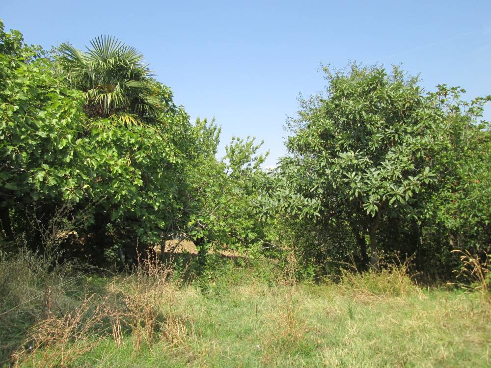 Casa in pietra con terreno in vendita a Mergo