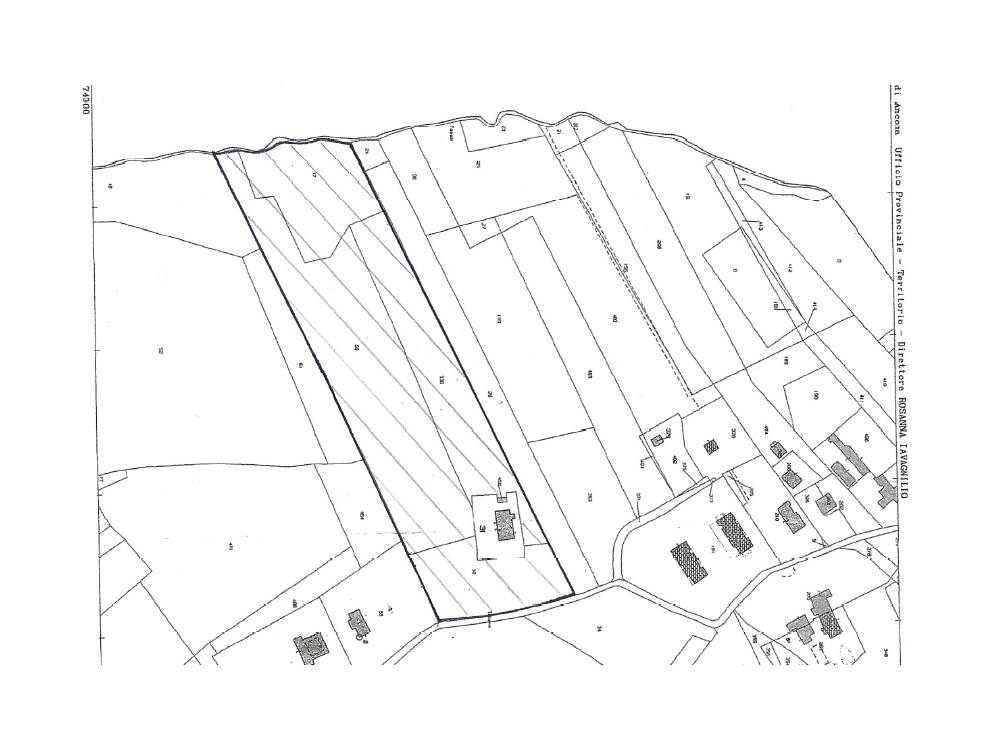 Terreno Agricolo in vendita a Jesi