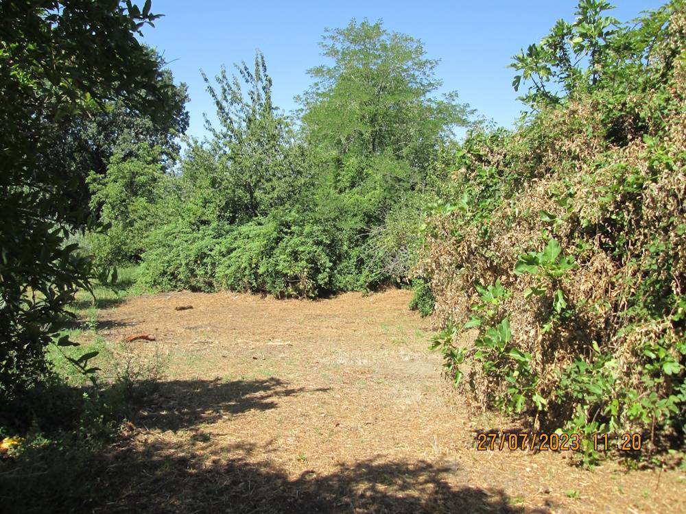 Locale commerciale in vendita a Cupramontana