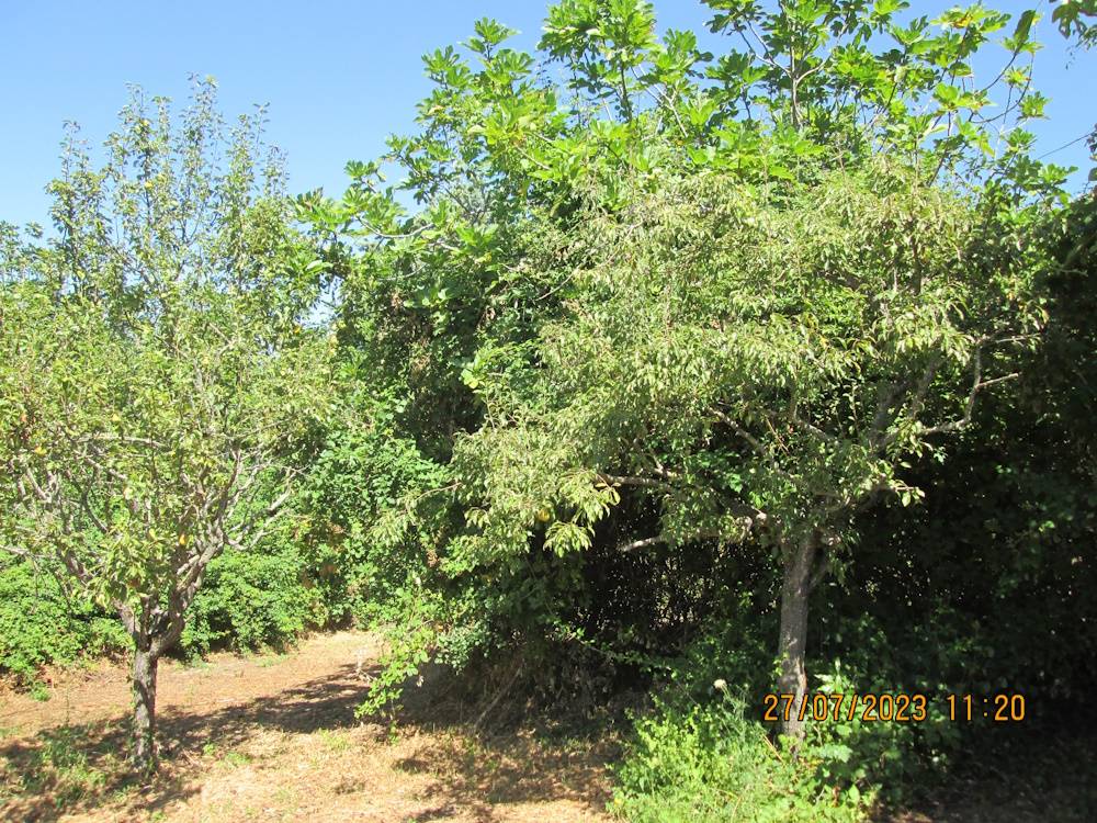 Locale commerciale in vendita a Cupramontana