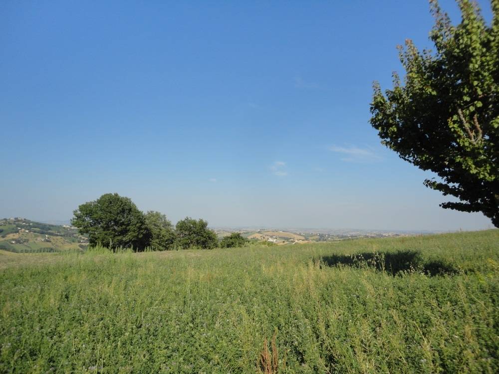 Casolare in mattoni con terreno in vendita a Cingoli