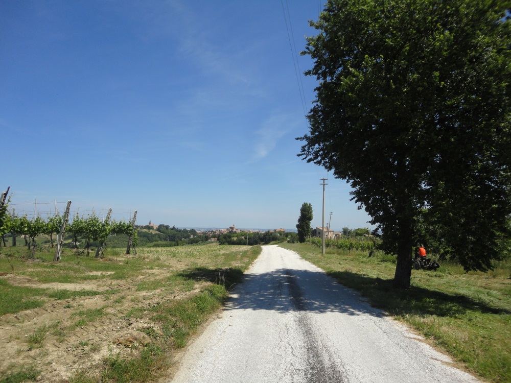 immagine annuncio 4 di 10