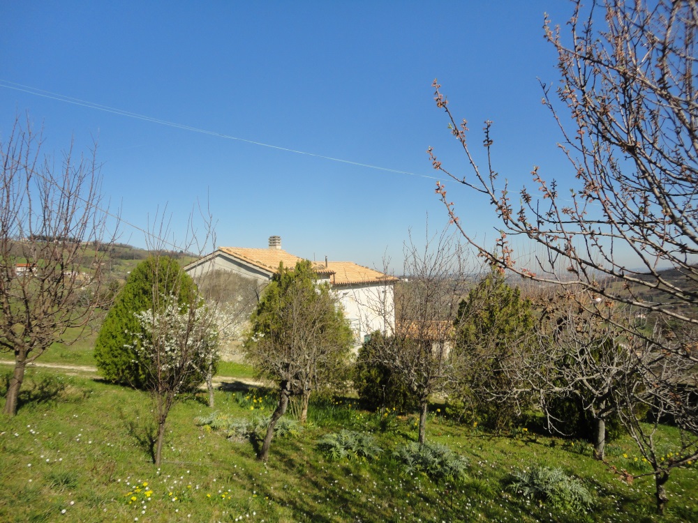 Casa parzialmente ristrutturata (in campagna) in vendita a Cupramontana