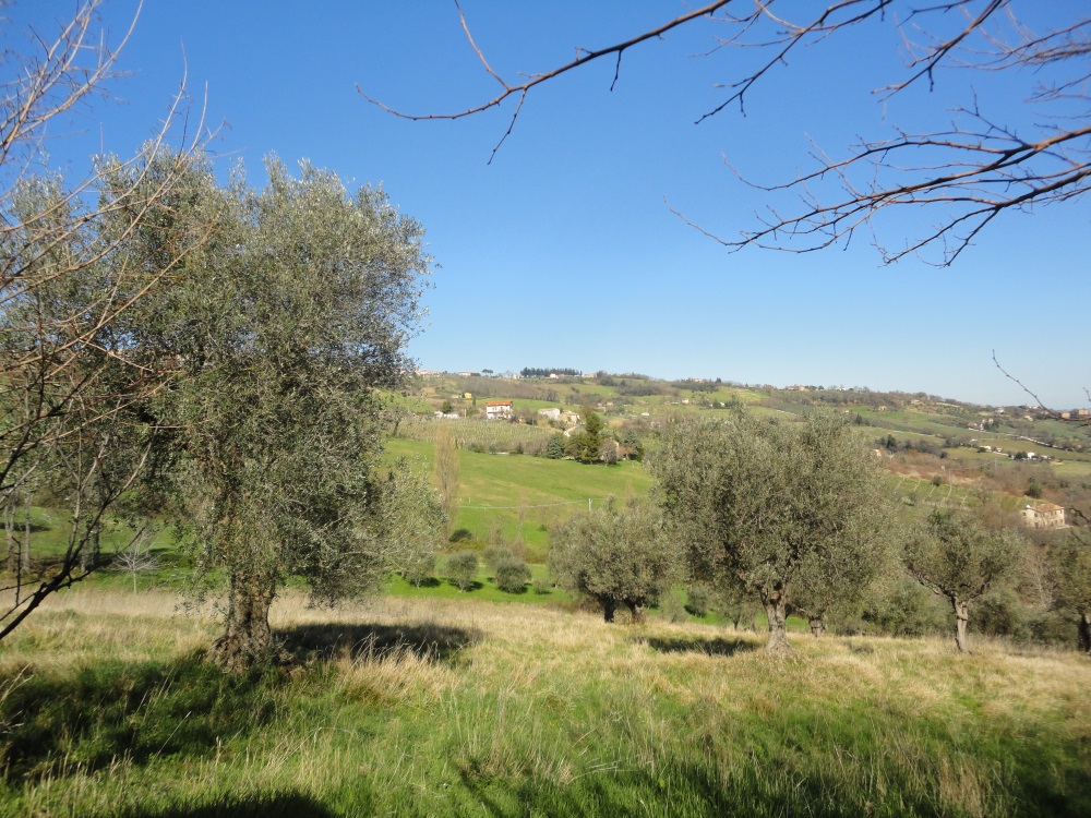 Casa parzialmente ristrutturata (in campagna) in vendita a Cupramontana