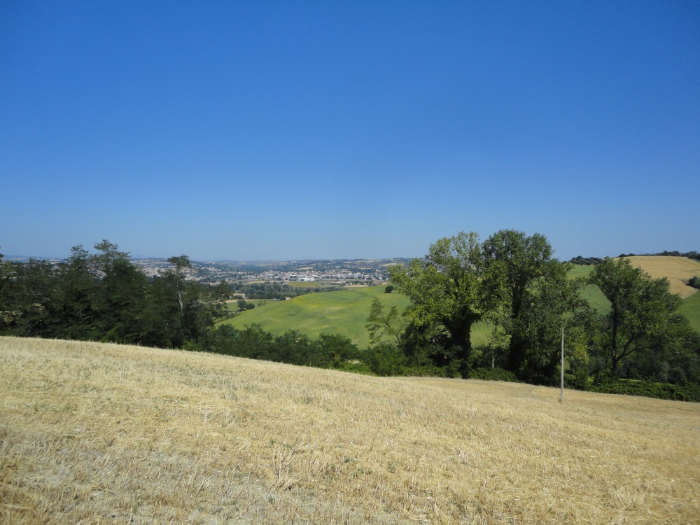 Terreno Agricolo in vendita a Jesi