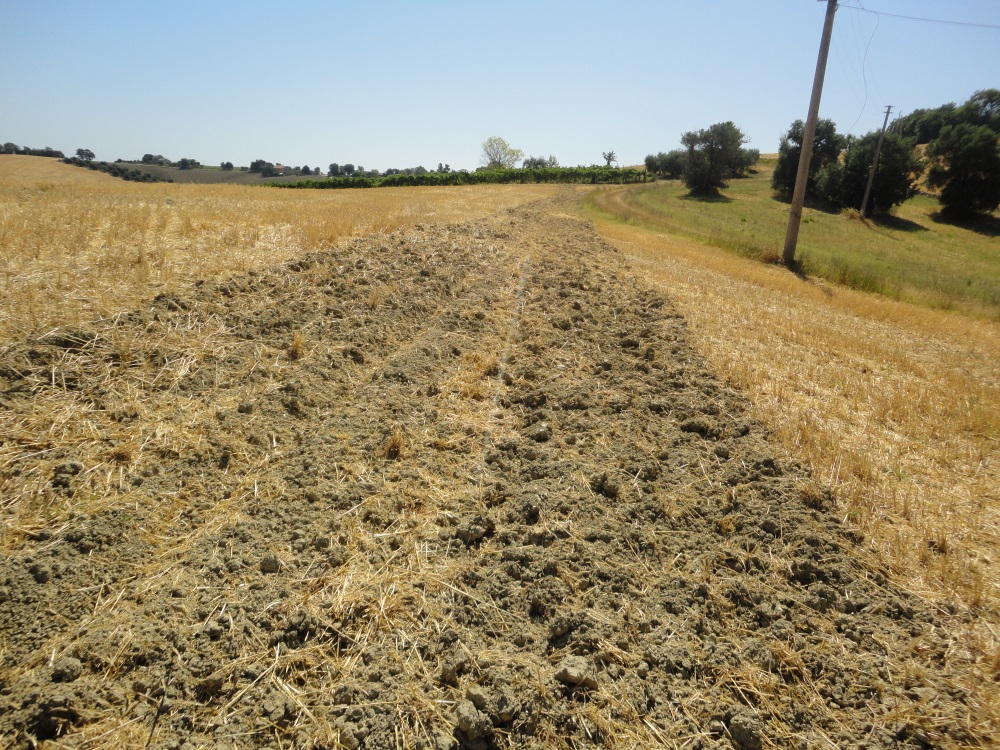 Terreno Agricolo in vendita a Jesi