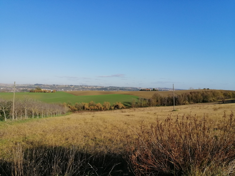 Terreno Agricolo in vendita a San Paolo di Jesi
